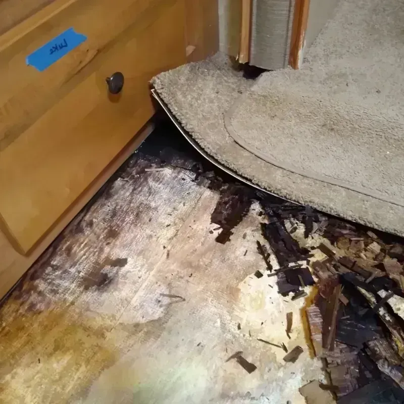 Wood Floor Water Damage in North Alamo, TX